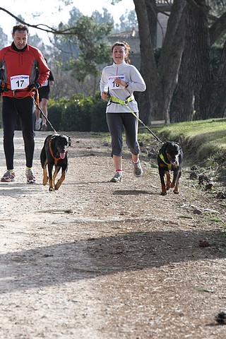 Diapositive suivante